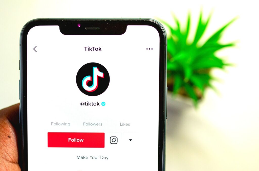 MrBeast Taking Over TikTok, 